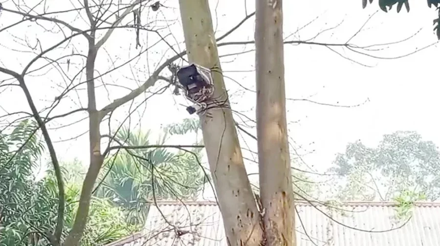 কুড়িগ্রামে সীমান্ত থেকে সিসিটিভি ক্যামেরা সরাল বিএসএফ